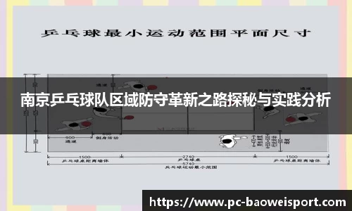 南京乒乓球队区域防守革新之路探秘与实践分析
